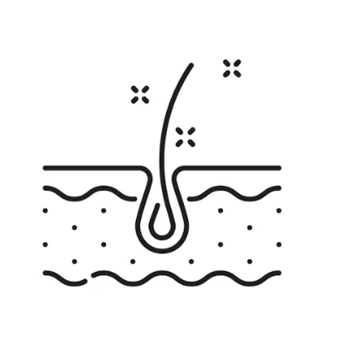 Highly Experienced Japanese Expert Stylist